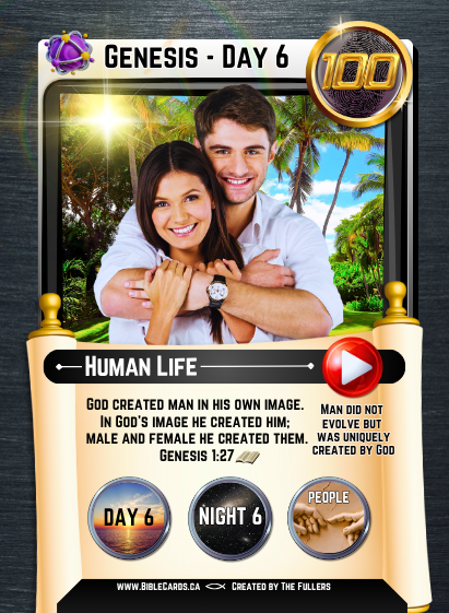 Genesis Edition Bible Cards - Pack of 26 Trading Cards