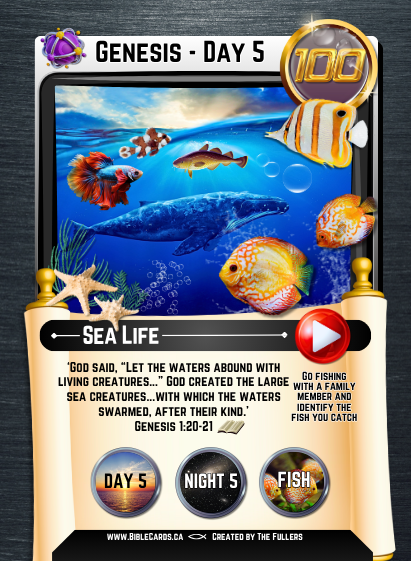 Genesis Edition Bible Cards - Pack of 26 Trading Cards